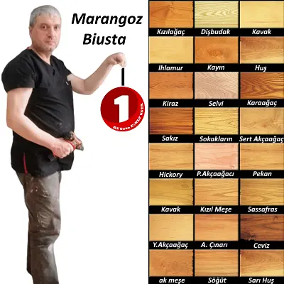 Agac-cesitleri-Biusta MARANGOZ ustası