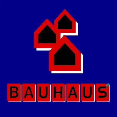 BAUHAUS-MOBILYA-MONTAJ-Biusta BAUHAUS Mobilya Montaj Ustası