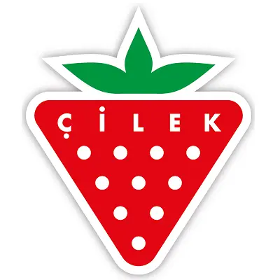 ÇİLEK Mobilya Montaj